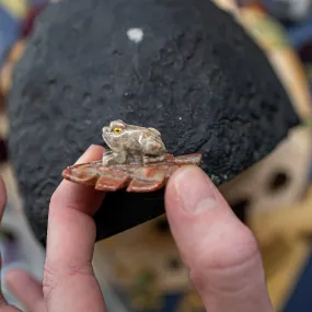 Adorable Spring Frog on a Lilypad ~ Soapstone Carving