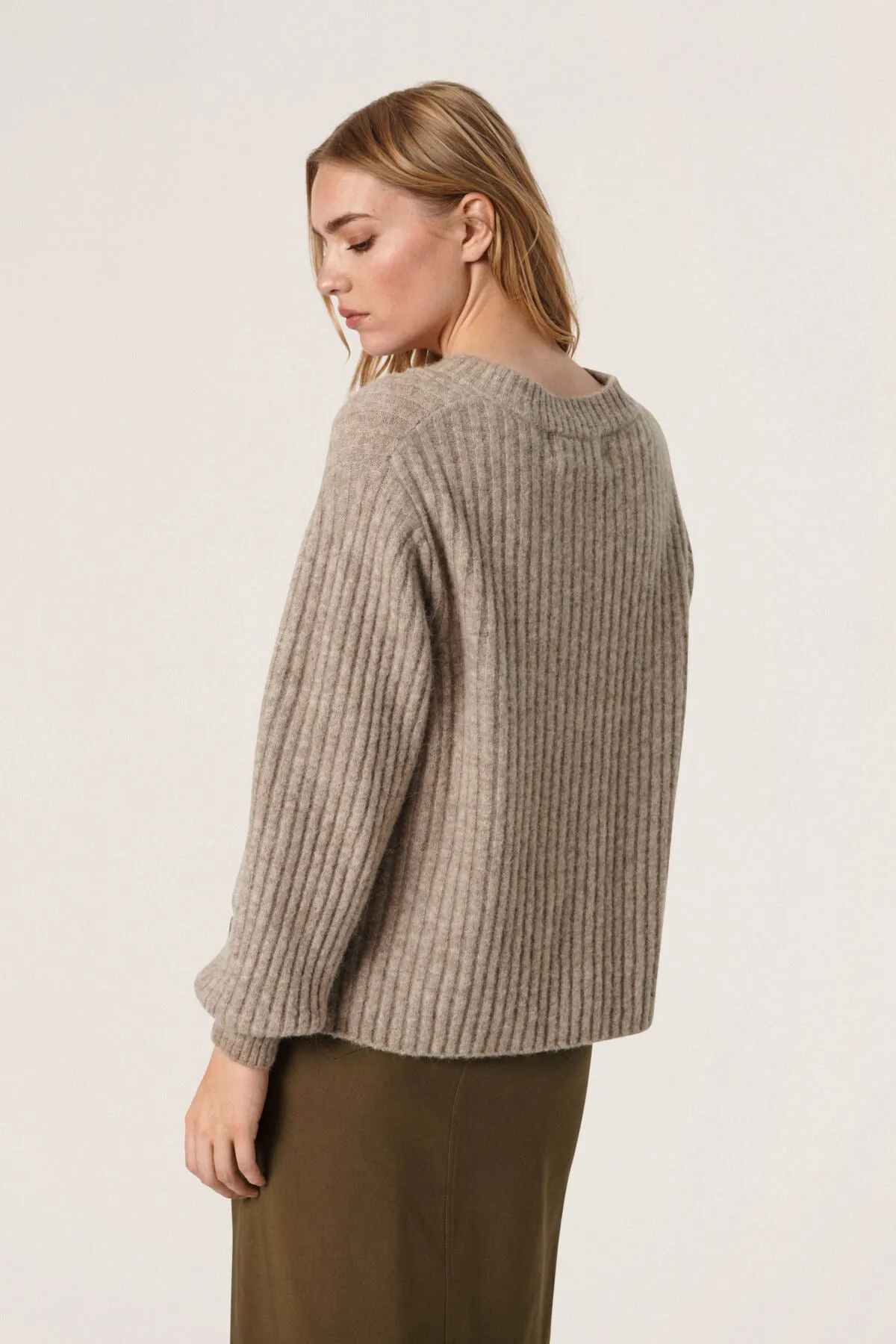 Anina V-Neck Pullover