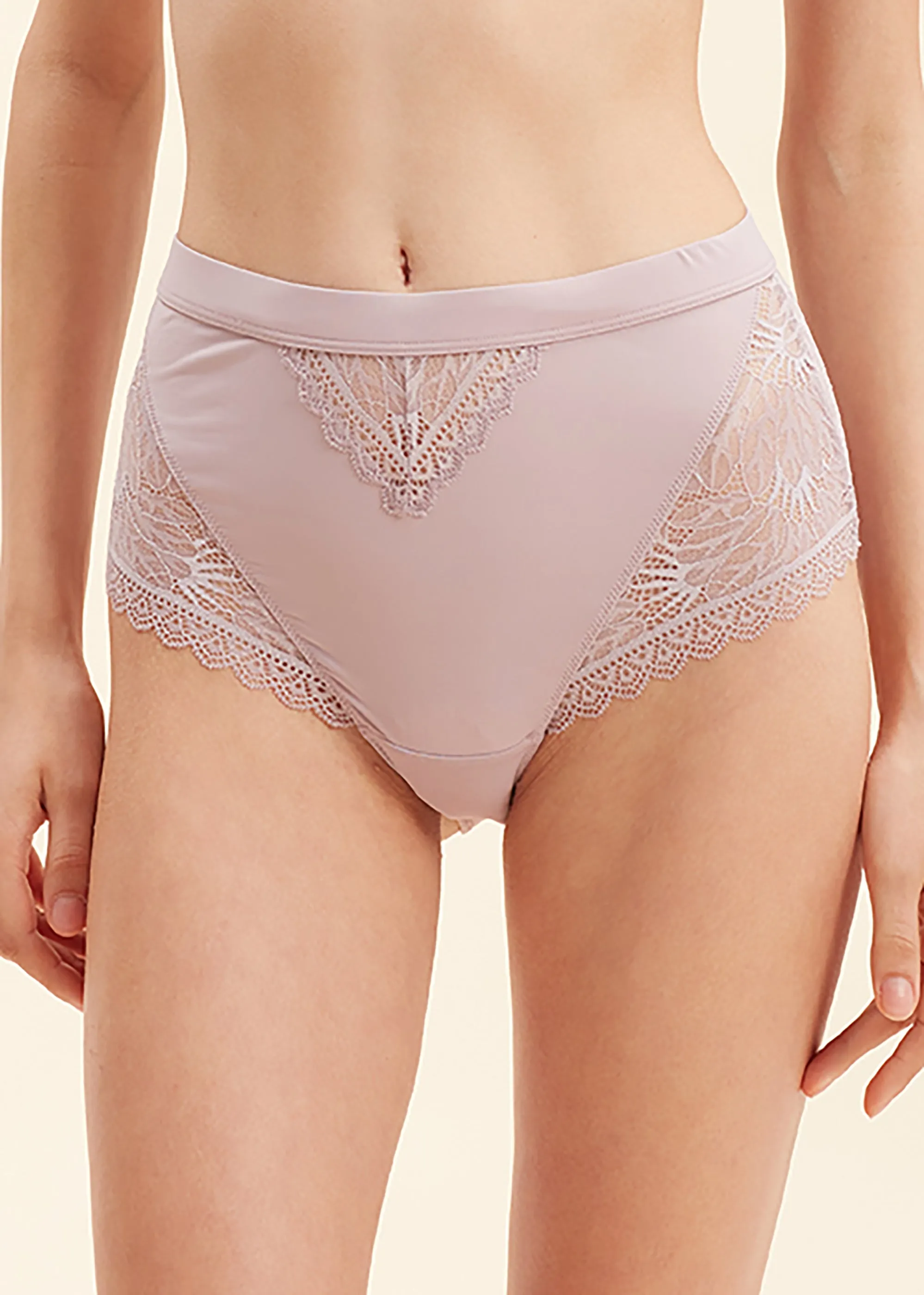 HANNAH Sexy Lace High Waist Brief