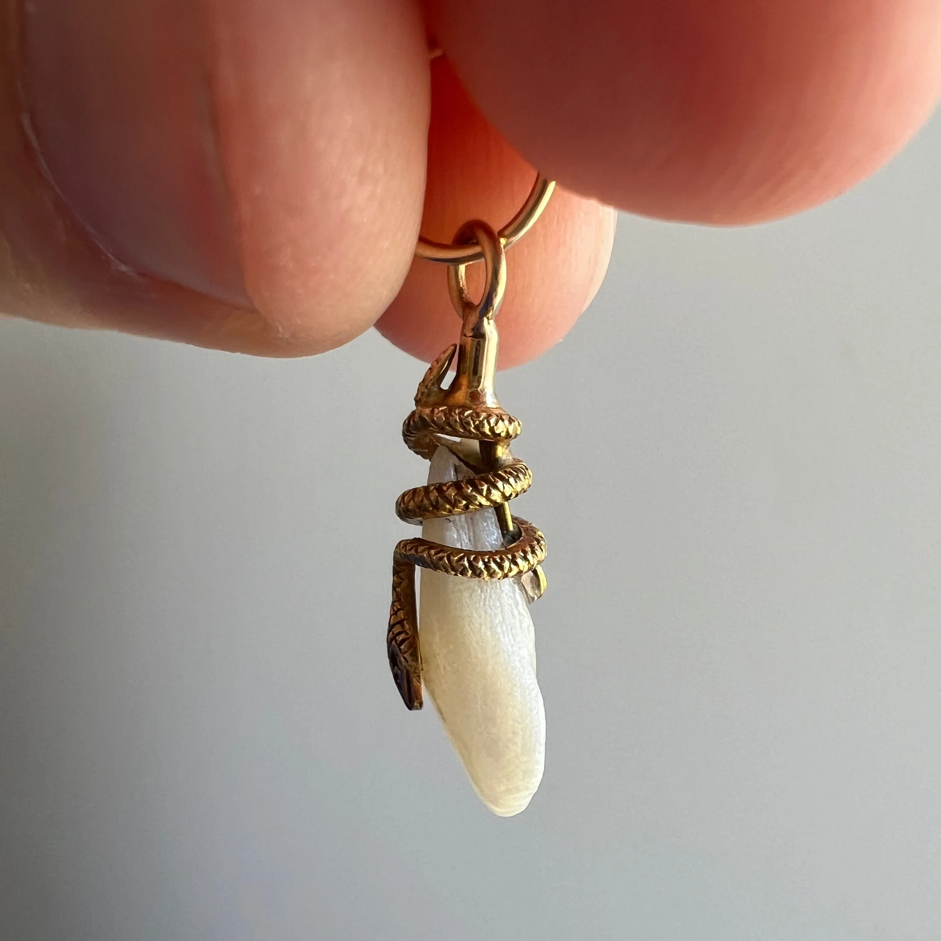 reimagined A N T I Q U E // a snake and her egg / 14k yellow gold and freshwater pearl / a conversion pendant