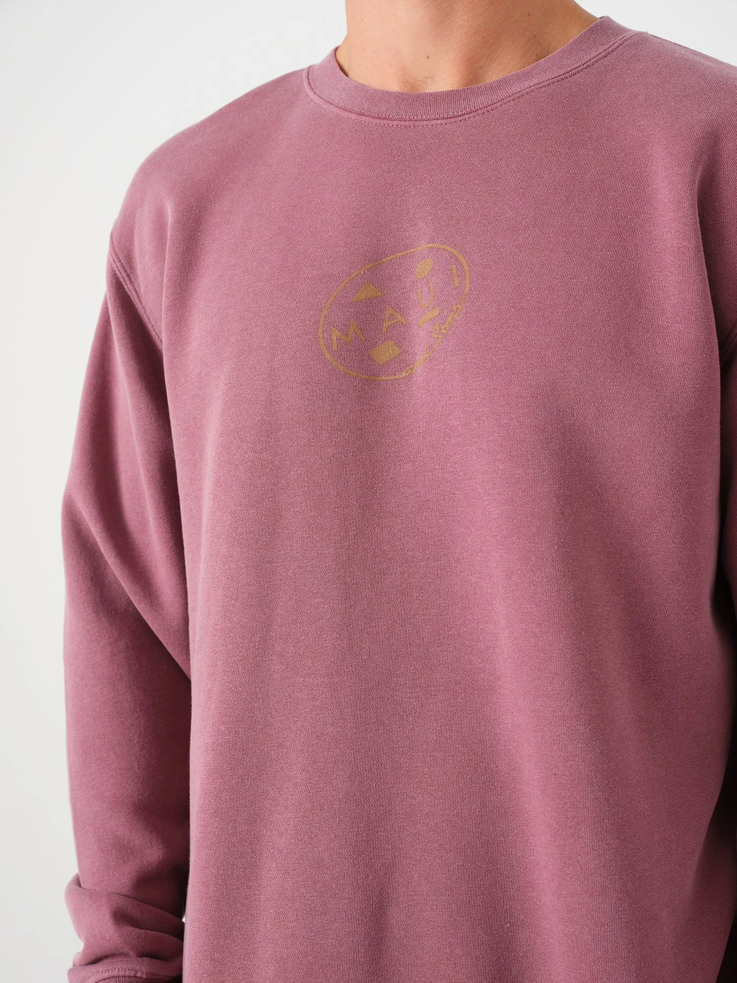 Retro Cookie Crew Neck in Maroon