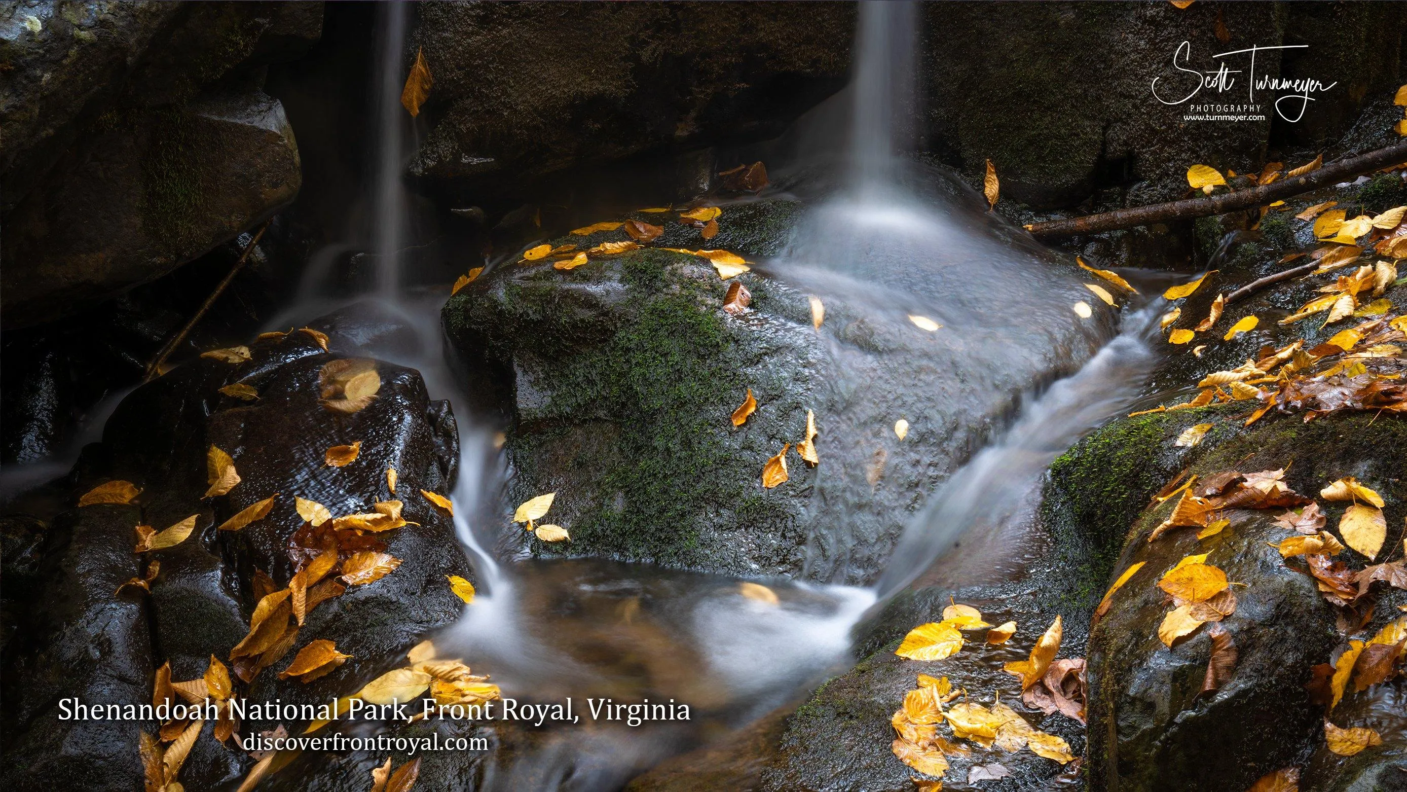 Shenandoah Valley Zoom Backgrounds